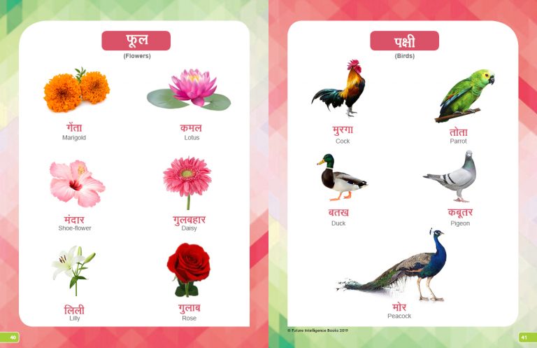 hindi aksharamala future intelligence books